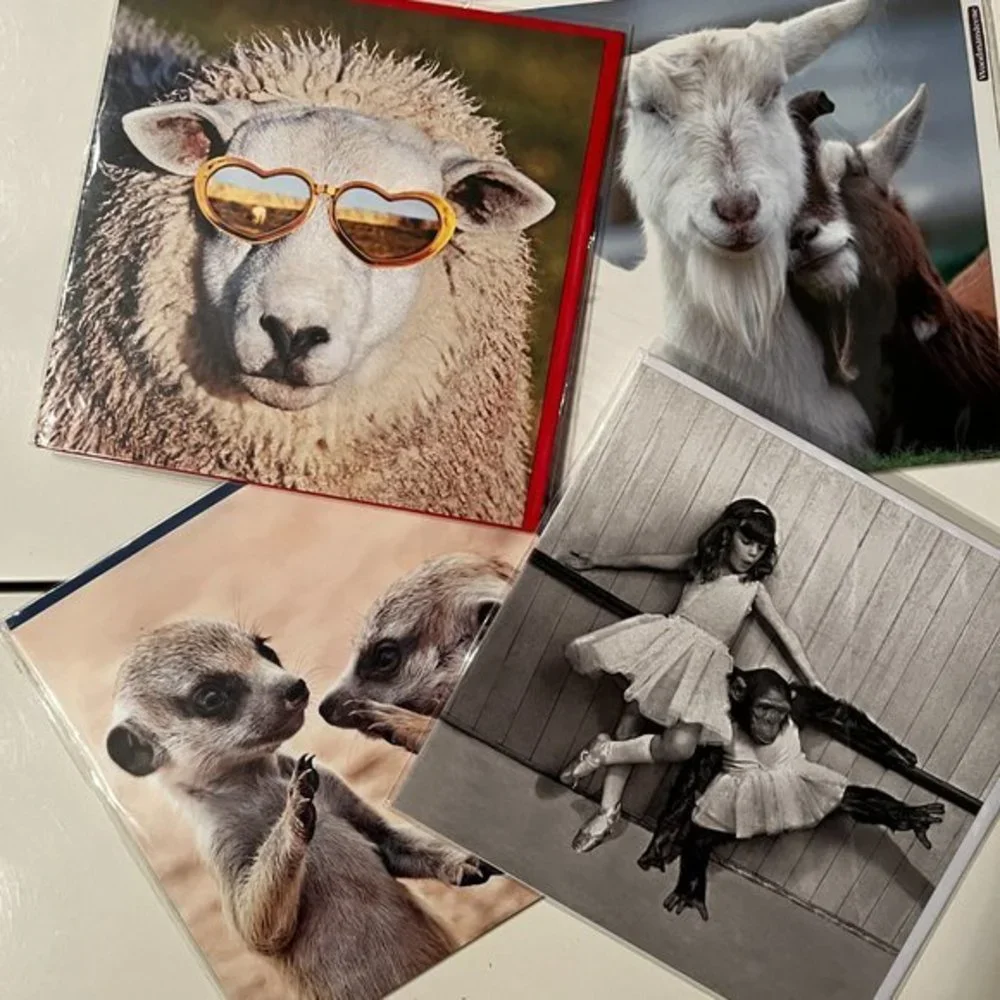 Blank Greeting Cards -‎ Set of 4 - Animal Themed (new) (home/x)